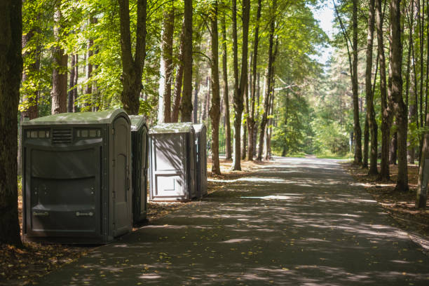 Best Sanitation services for porta potties  in Momence, IL